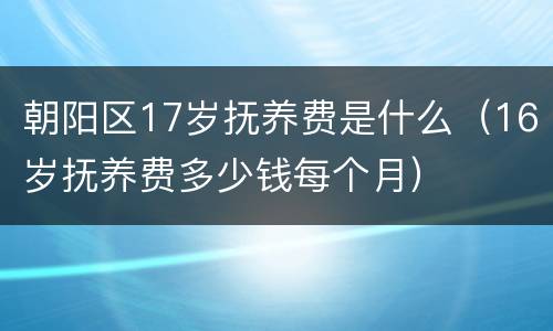 朝阳区17岁抚养费是什么（16岁抚养费多少钱每个月）