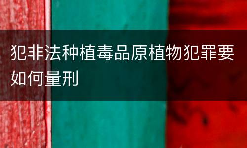 犯非法种植毒品原植物犯罪要如何量刑