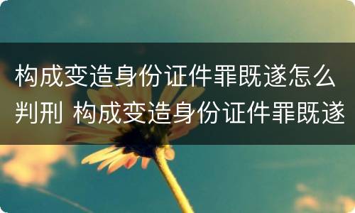 构成变造身份证件罪既遂怎么判刑 构成变造身份证件罪既遂怎么判刑的