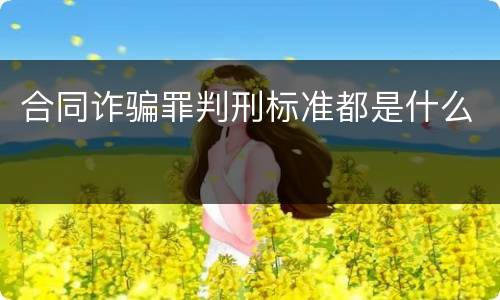 合同诈骗罪判刑标准都是什么