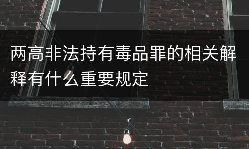 两高非法持有毒品罪的相关解释有什么重要规定