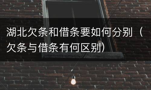 湖北欠条和借条要如何分别（欠条与借条有何区别）