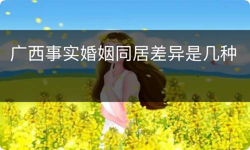 广西事实婚姻同居差异是几种