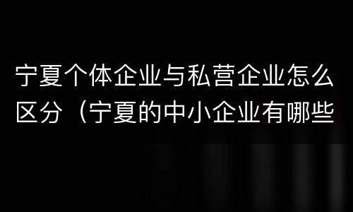 宁夏个体企业与私营企业怎么区分（宁夏的中小企业有哪些）