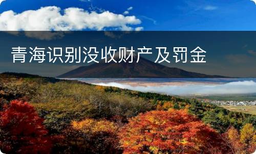 青海识别没收财产及罚金