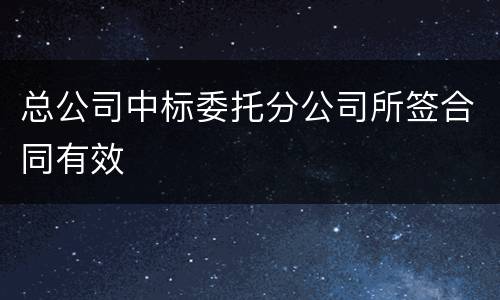 总公司中标委托分公司所签合同有效