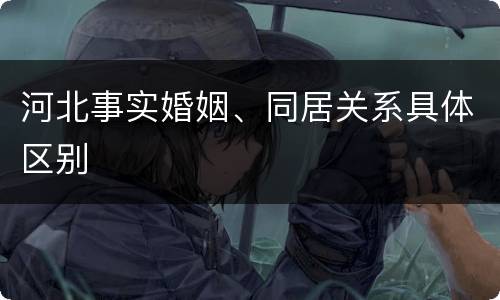 河北事实婚姻、同居关系具体区别