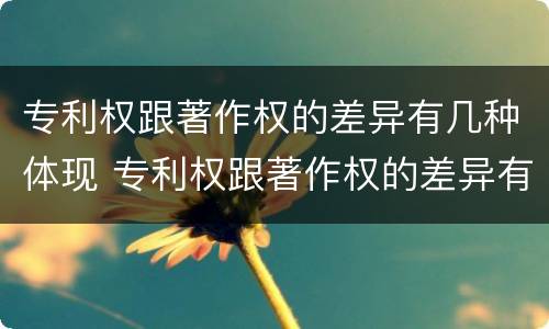 专利权跟著作权的差异有几种体现 专利权跟著作权的差异有几种体现形式