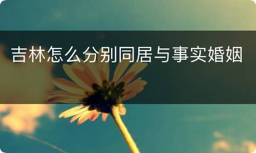 吉林怎么分别同居与事实婚姻