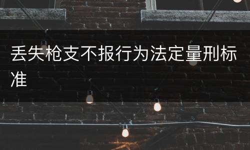 丢失枪支不报行为法定量刑标准