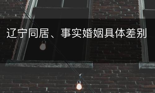辽宁同居、事实婚姻具体差别