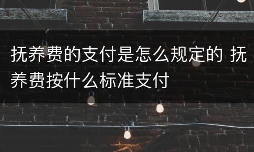 抚养费的支付是怎么规定的 抚养费按什么标准支付