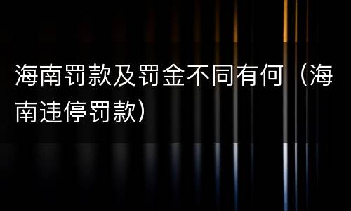 海南罚款及罚金不同有何（海南违停罚款）