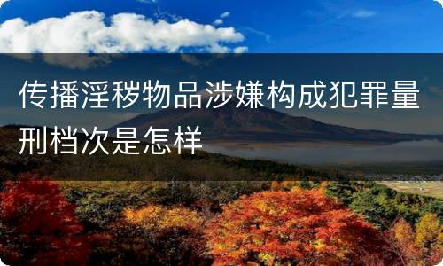传播淫秽物品涉嫌构成犯罪量刑档次是怎样