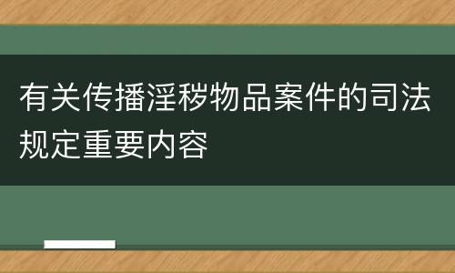 有关传播淫秽物品案件的司法规定重要内容