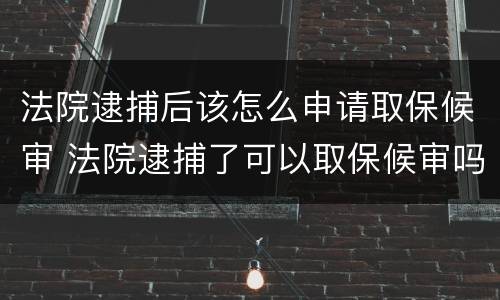 法院逮捕后该怎么申请取保候审 法院逮捕了可以取保候审吗