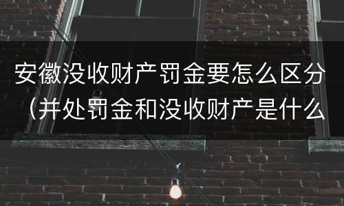 安徽没收财产罚金要怎么区分(并处罚金和没收财产是什么意思)