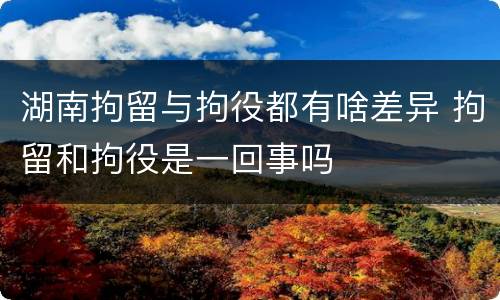 湖南拘留与拘役都有啥差异 拘留和拘役是一回事吗