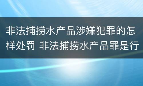 非法捕捞水产品涉嫌犯罪的怎样处罚 非法捕捞水产品罪是行为犯吗