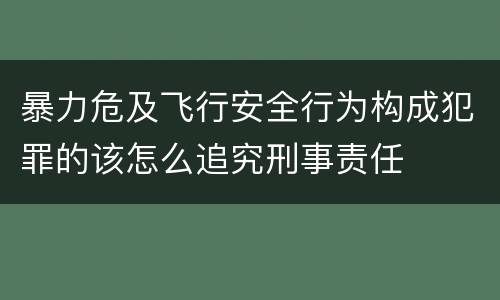 暴力危及飞行安全行为构成犯罪的该怎么追究刑事责任