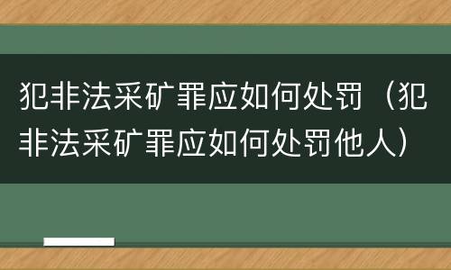 犯非法采矿罪应如何处罚（犯非法采矿罪应如何处罚他人）