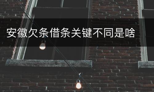 安徽欠条借条关键不同是啥