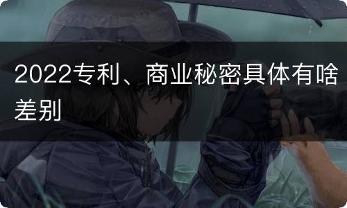 2022专利、商业秘密具体有啥差别