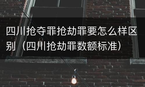 四川抢夺罪抢劫罪要怎么样区别（四川抢劫罪数额标准）