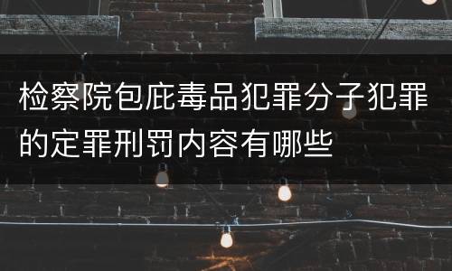 检察院包庇毒品犯罪分子犯罪的定罪刑罚内容有哪些