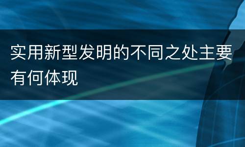 实用新型发明的不同之处主要有何体现