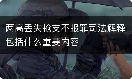 两高丢失枪支不报罪司法解释包括什么重要内容
