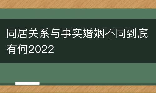 同居关系与事实婚姻不同到底有何2022