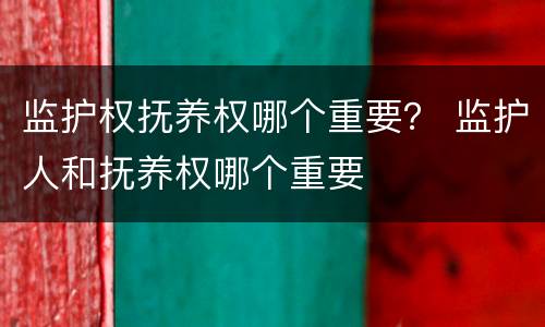 监护权抚养权哪个重要？ 监护人和抚养权哪个重要