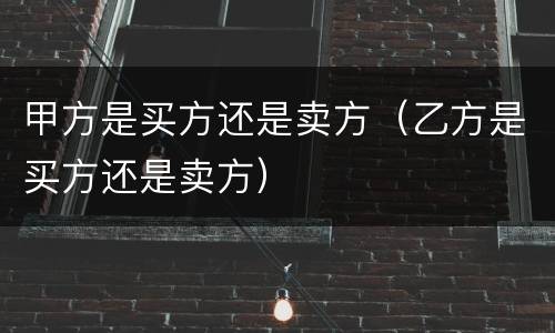 甲方是买方还是卖方（乙方是买方还是卖方）