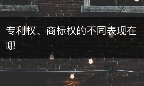 专利权、商标权的不同表现在哪