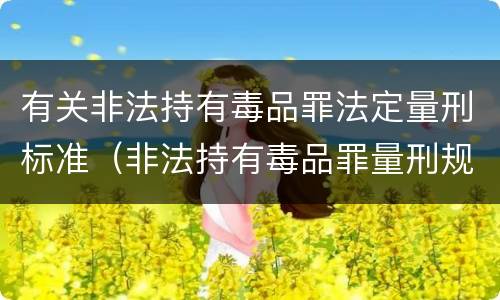 有关非法持有毒品罪法定量刑标准（非法持有毒品罪量刑规范化）