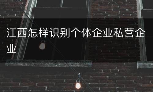 江西怎样识别个体企业私营企业