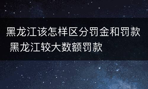 黑龙江该怎样区分罚金和罚款 黑龙江较大数额罚款