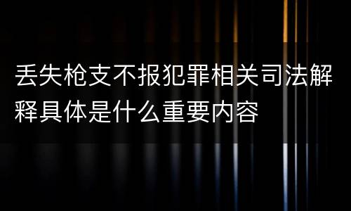 丢失枪支不报犯罪相关司法解释具体是什么重要内容