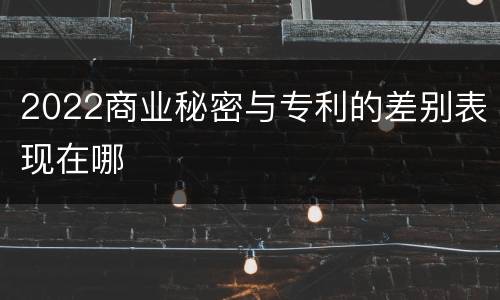2022商业秘密与专利的差别表现在哪
