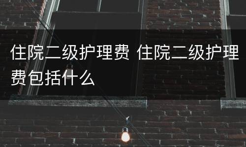 住院二级护理费 住院二级护理费包括什么