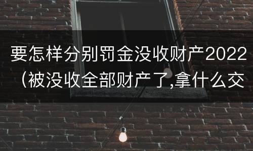 要怎样分别罚金没收财产2022（被没收全部财产了,拿什么交罚金）