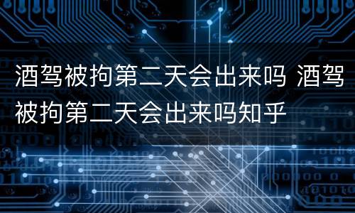 酒驾被拘第二天会出来吗 酒驾被拘第二天会出来吗知乎