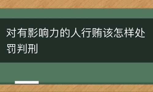 对有影响力的人行贿该怎样处罚判刑