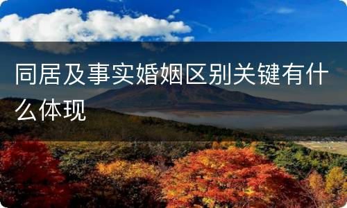 同居及事实婚姻区别关键有什么体现