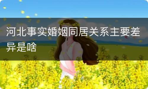 河北事实婚姻同居关系主要差异是啥
