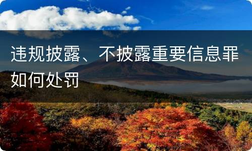 违规披露、不披露重要信息罪如何处罚