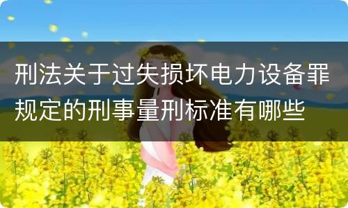 刑法关于过失损坏电力设备罪规定的刑事量刑标准有哪些