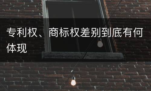 专利权、商标权差别到底有何体现