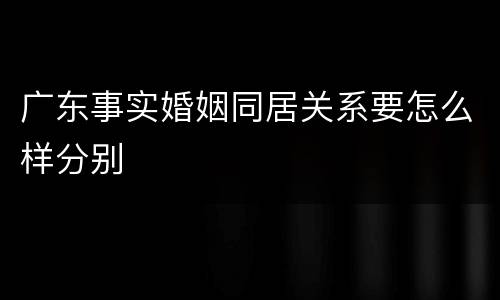 广东事实婚姻同居关系要怎么样分别